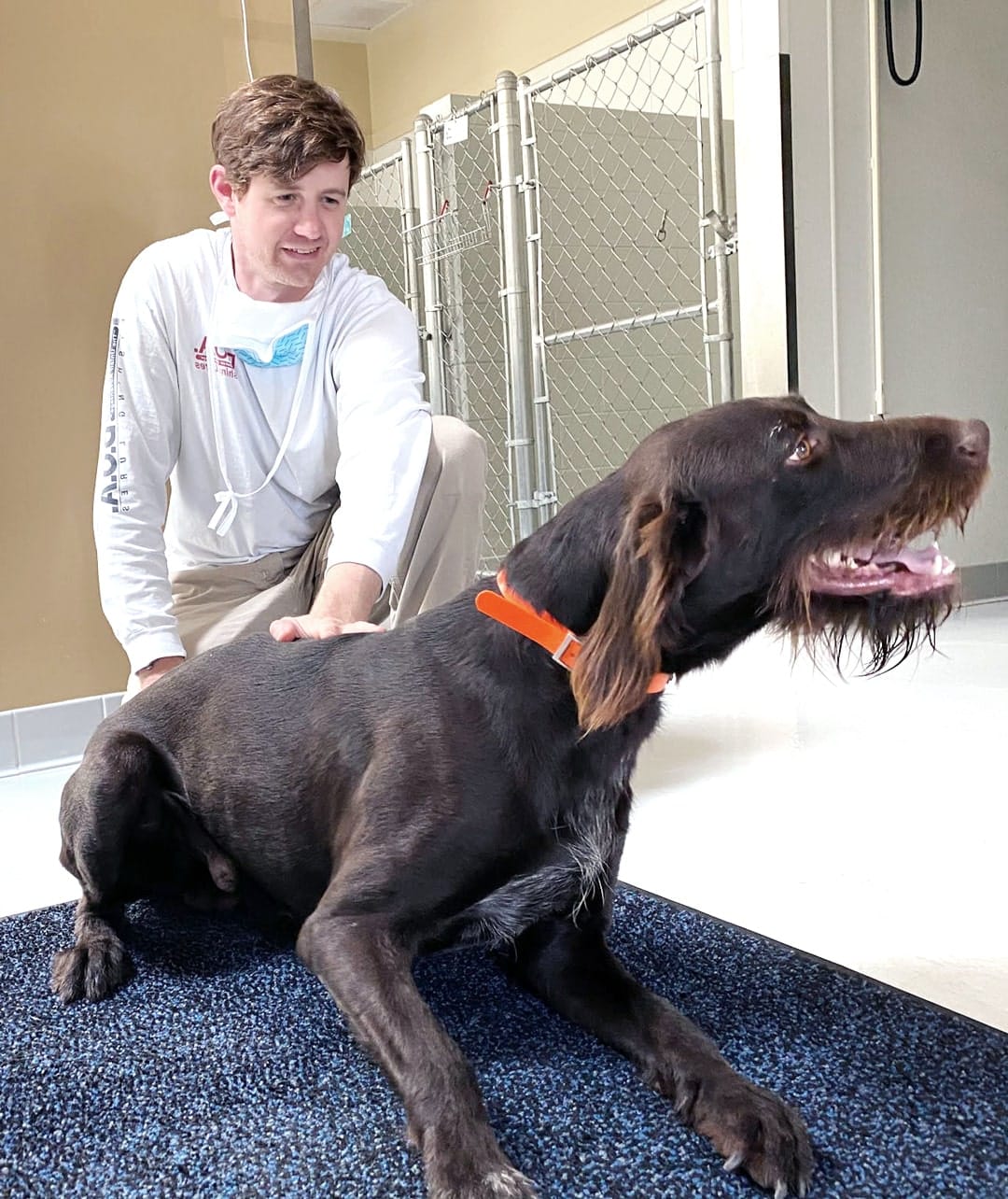 dr jackson walker providing a dog with veterinarian services