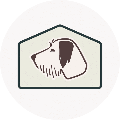 dog-wellness-exam-in-anderson-sc-vet-checkup-for-dogs