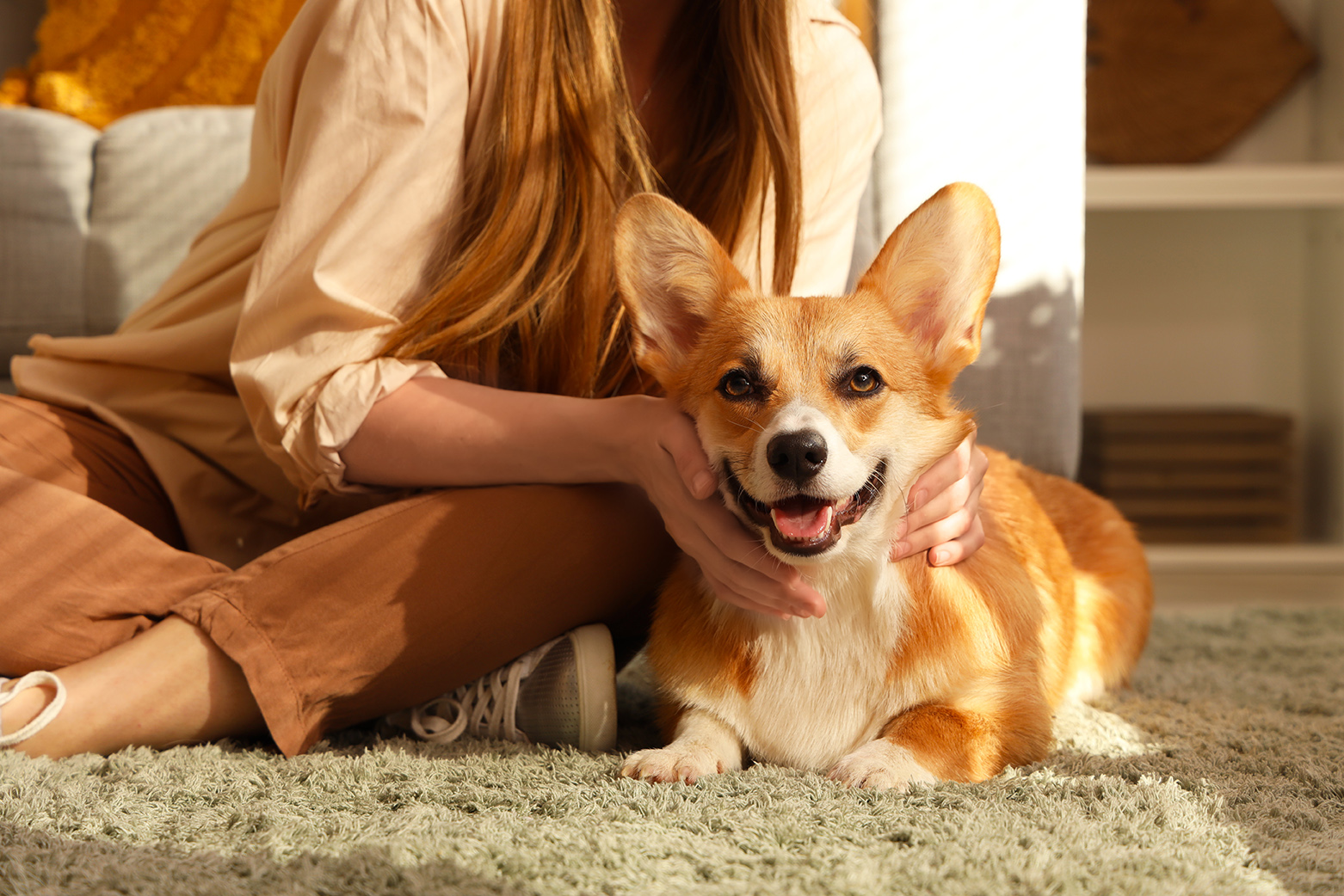 pet owner and dog during Advanced Veterinary Diagnostic appointment at walker canince care