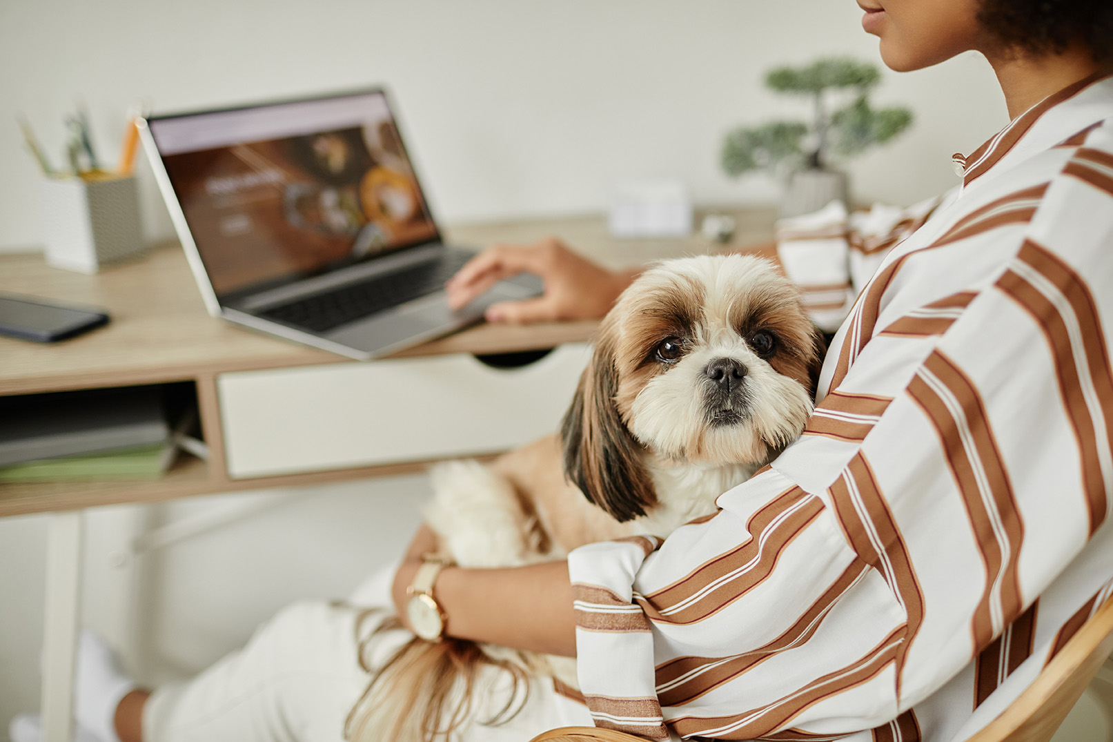 pet owner scheduling a same-day urgent care vet services appointment at walker canince care