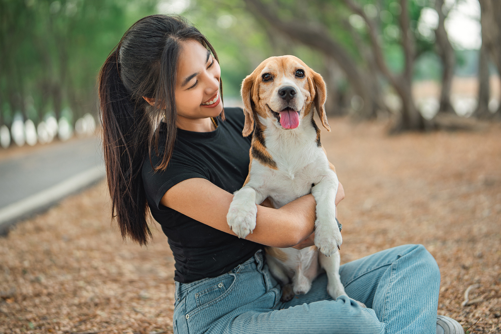 dog owners hugging a beagle dog in a park in anderson sc